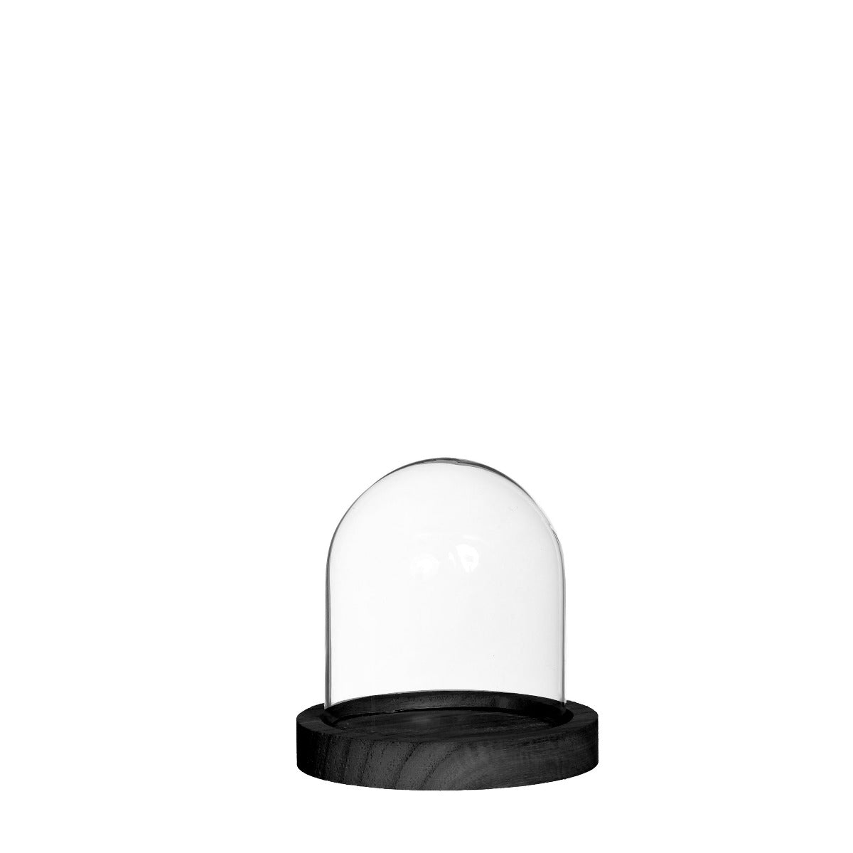 Glass bell jar with black wooden base Ø10cm H.10 cm (1 pcs.)