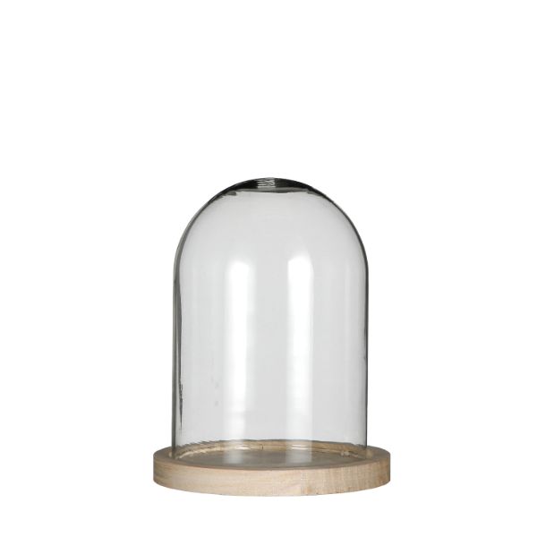 Glass Dome with Wooden Base Ø12cm and 16 cm tall (1 pc)