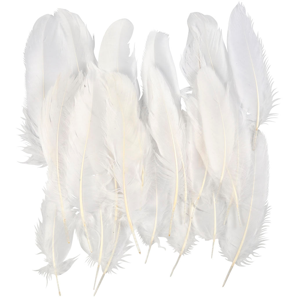 Feathers, size 10-18, white, 70 pc/ 1 bag