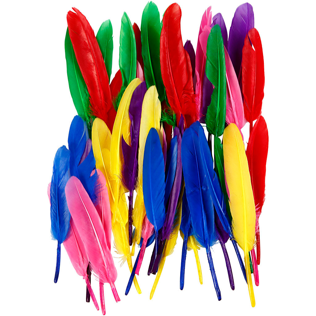 Feathers, L: 13 cm, assorted colours, 48 pc