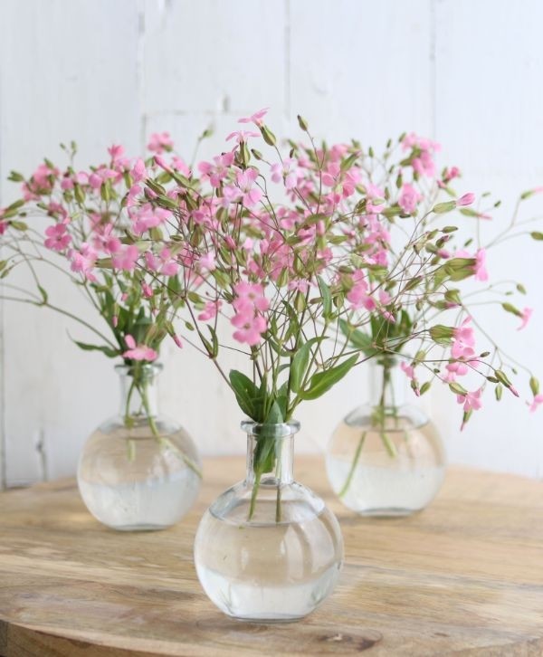 Glass Belly Bottle 10cm tall Ø 8cm (tray with 24 pcs) [IFS-129193]