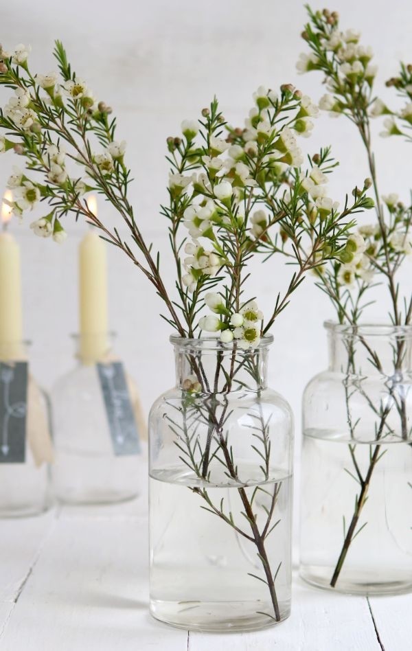 Glass Medicine Vase 16cm tall Ø 8cm (tray with 12 pcs) [IFS-129195]