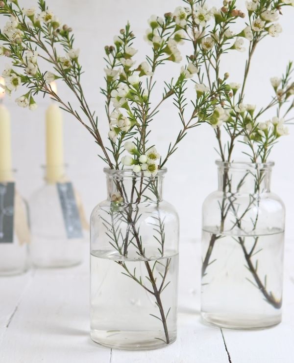 Glass Medicine Vase 16cm tall Ø 8cm (tray with 12 pcs) [IFS-129195]