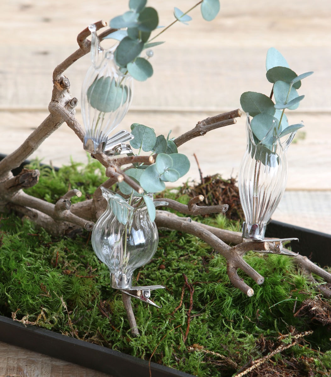 Vases on clip Ø4cm assorted of 3 vases (1 pcs.) [IFS-28092]