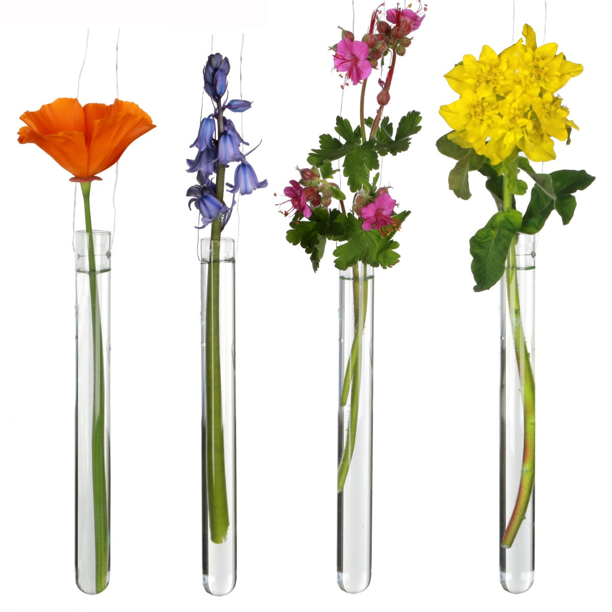 Glass Test tube 2cm diameter 20cm high, with 2 holes (set of 12 pcs) [IFS-29113]
