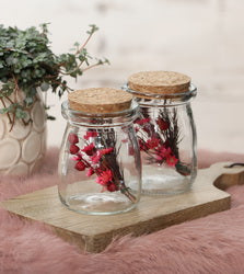 Glass jar with cork Ø5.5cm and 7.5cm high (24 pcs.) [IFS-29152]