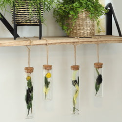 Reaction tube with cork and rope Ø3cm and 10cm high (12 pcs.) [IFS-29162]