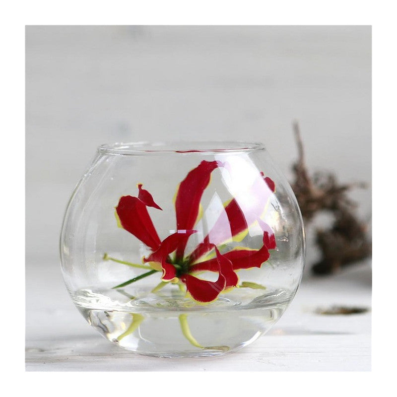 Glass Ball Pot Ø10 h.8cm (6 pcs) [IFS-29182]
