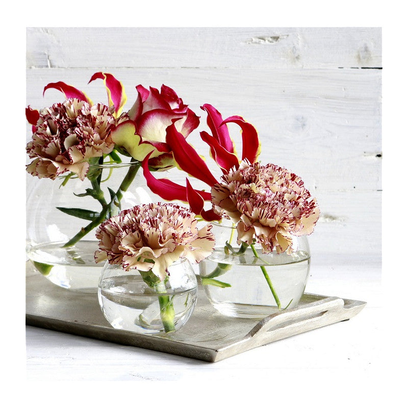Glass Ball Pot Ø12 h.10cm (6 pcs) [IFS-29183]