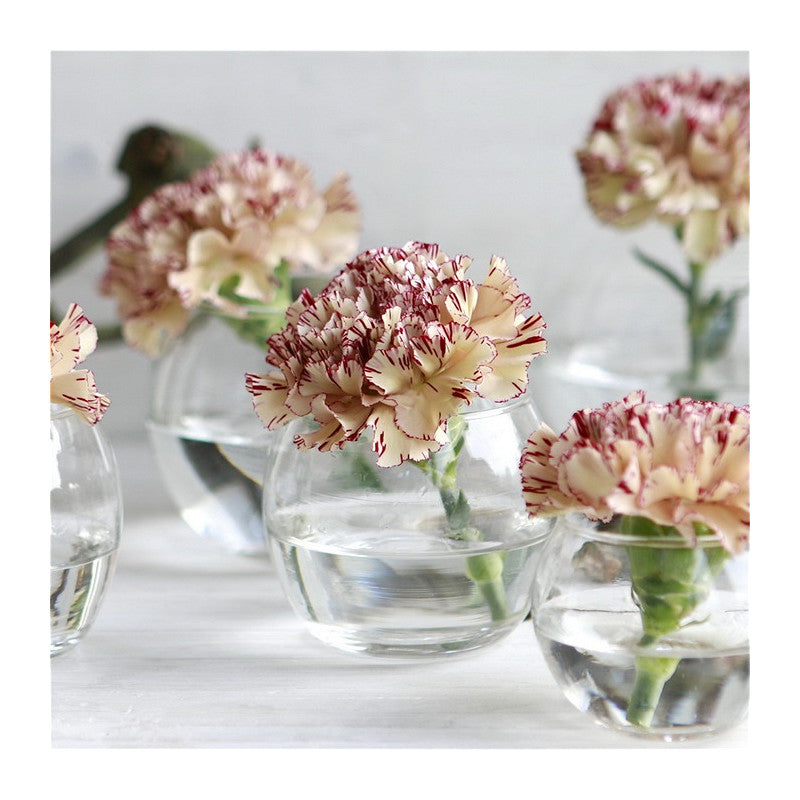Glass Ball Pot Ø12 h.10cm (6 pcs) [IFS-29183]