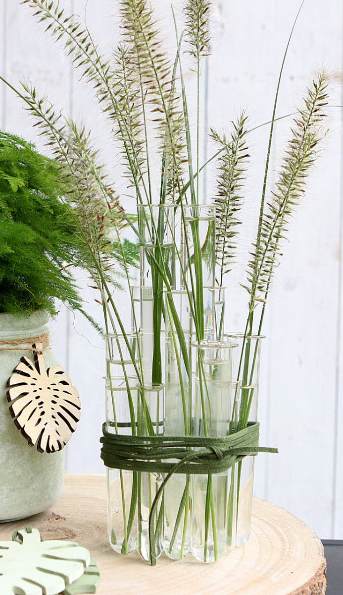 Glass Test tube 2cm diameter 12.5cm high, with ring (set of 12 pcs) [IFS-29204]