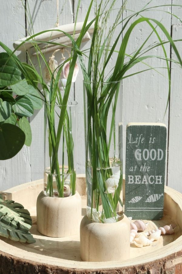 Wooden Base with Test Tube Ø5cm and 28cm tall (1 pc) [IFS-29219]