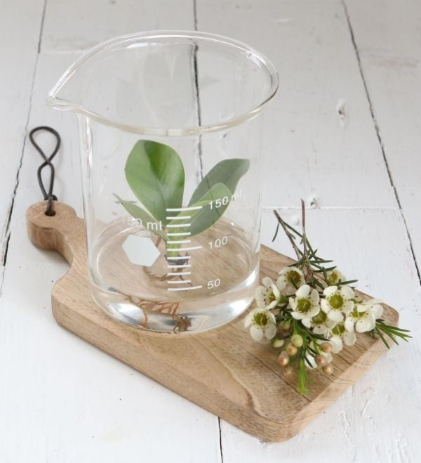 Laboratory Glass Cylinder Ø9cm and 11cm tall (1 pc) [IFS-29255]