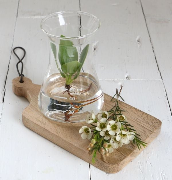 Laboratory Glass Funnel Ø8cm and 11cm tall (1 pc) [IFS-29256]