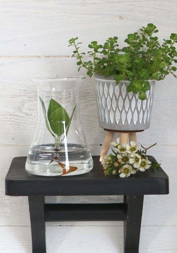 Laboratory Glass Funnel Ø8cm and 11cm tall (1 pc) [IFS-29256]