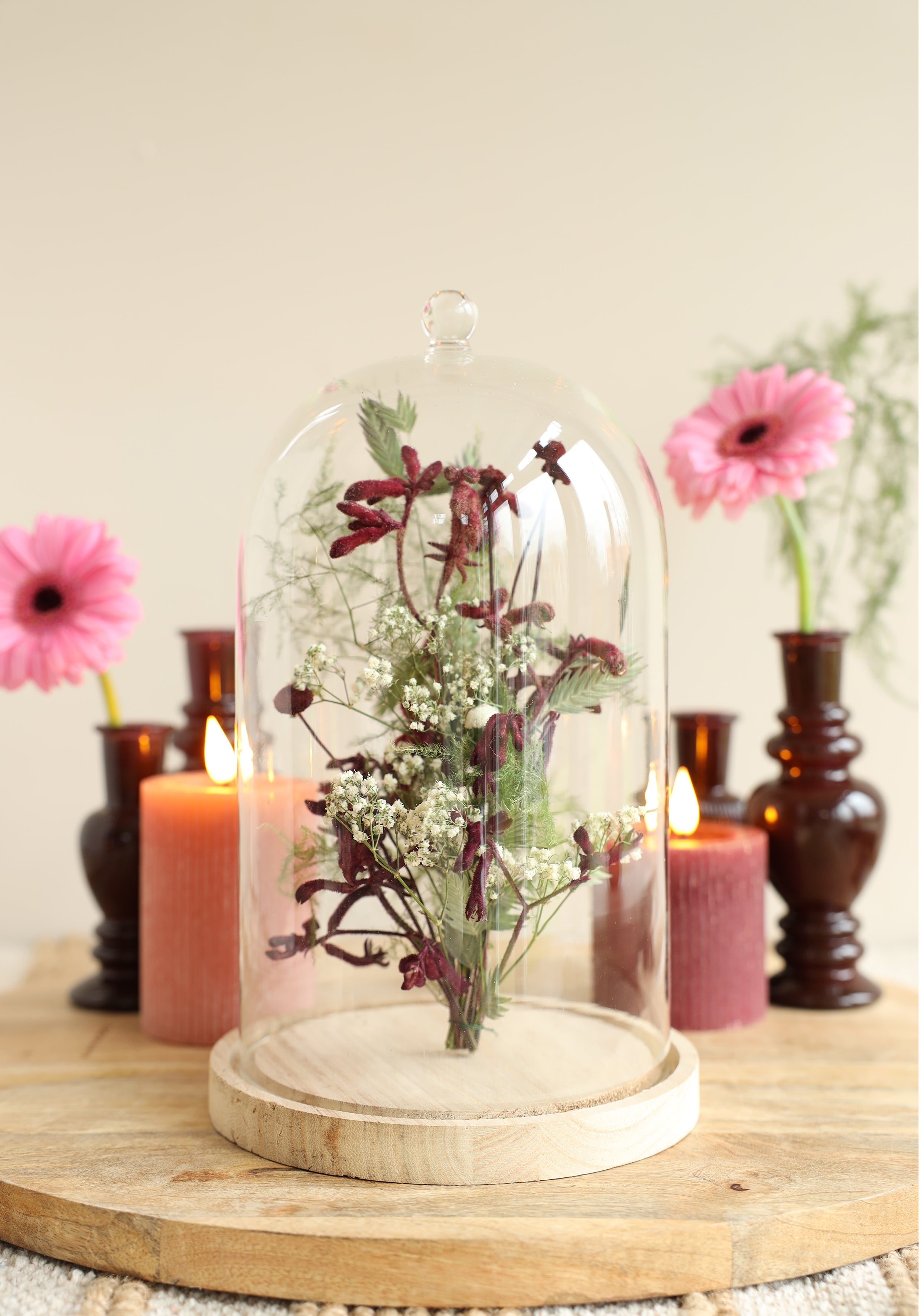 Glass dome with knob and wood base Ø17 h.28 cm (1 pc) [IFS-29315]