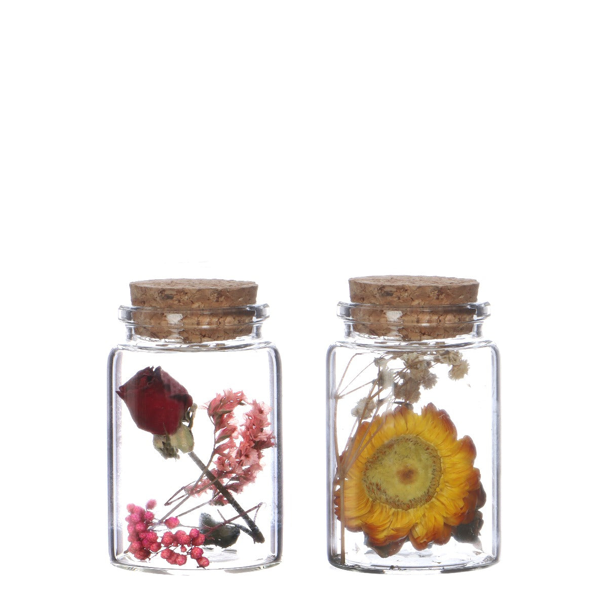 Glass tube with 2 different dried flowers Ø4.5cm (12 pcs.)