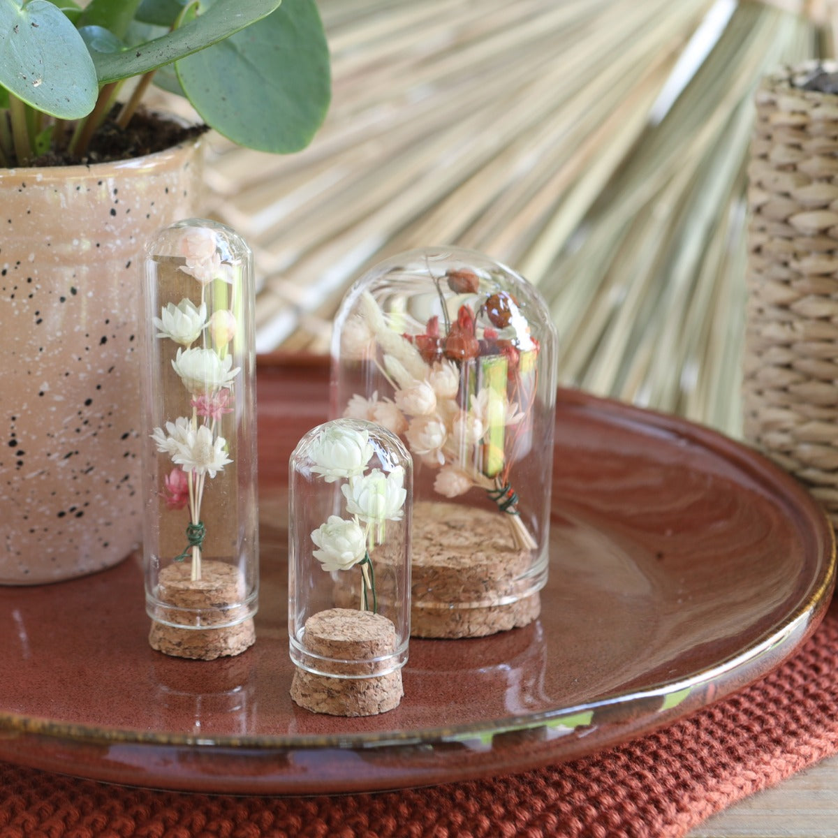 Glass mini stolp Ø2cm and 4cm high with cork (12 pcs.) [IFS-29408]