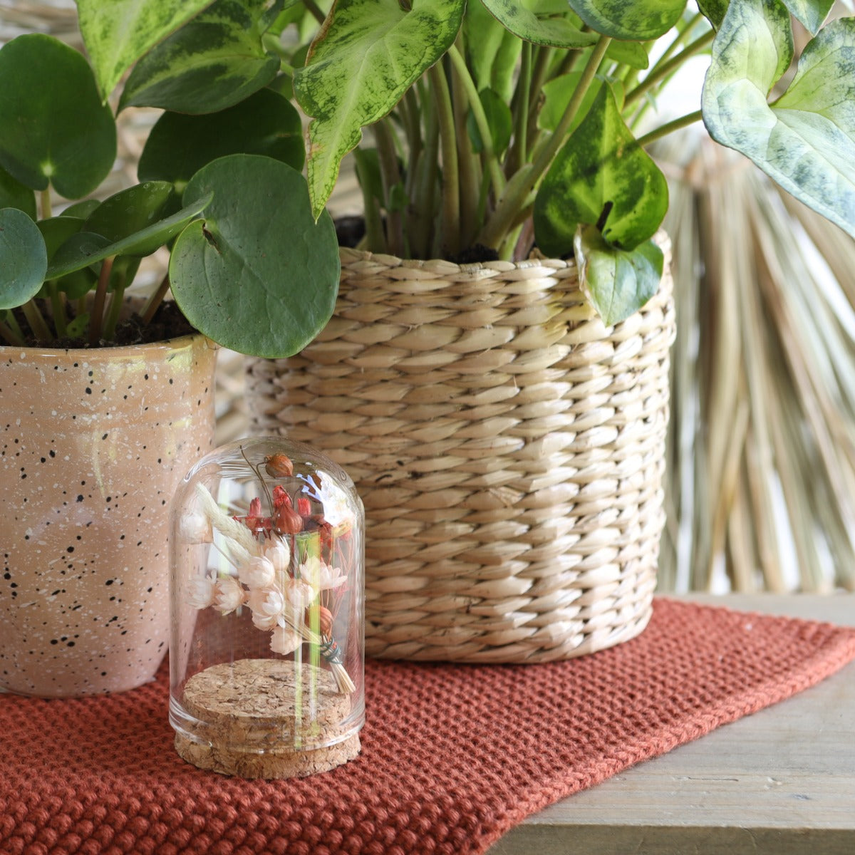 Glass mini stolp Ø4cm and 6cm high with cork (6 pcs.) [IFS-29410]