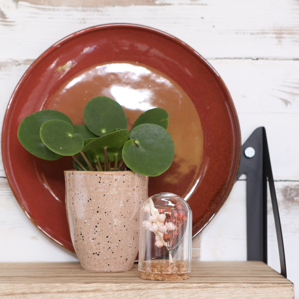 Glass mini stolp Ø4cm and 6cm high with cork (6 pcs.) [IFS-29410]