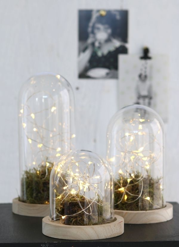 Glass Dome with Wooden Base Ø12cm and 13 cm tall (1 pc) [IFS-29422]