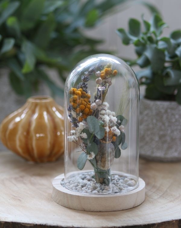 Glass Dome with Wooden Base Ø12cm and 16 cm tall (1 pc) [IFS-29423]