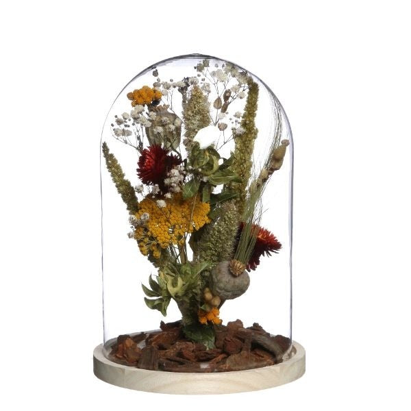 Glass Dome with Wooden Base Ø17cm and 25 cm tall (1 pc) [IFS-29425]