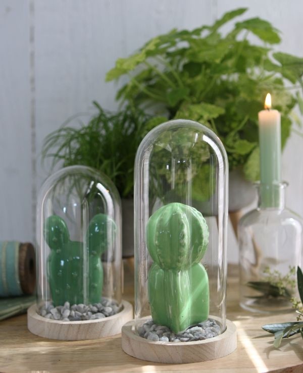 Glass Dome with Wooden Base Ø10cm and 15 cm tall (1 pc) [IFS-29428]