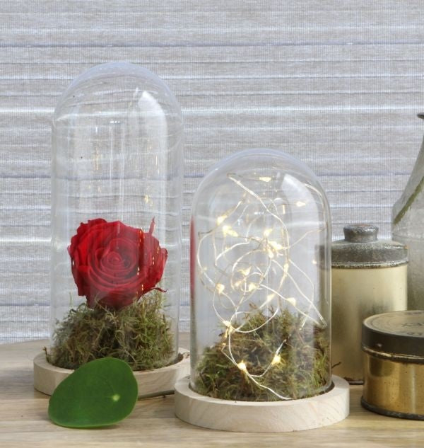 Glass Dome with Wooden Base Ø10cm and 15 cm tall (1 pc) [IFS-29428]