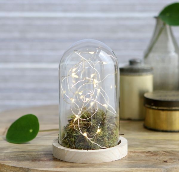 Glass Dome with Wooden Base Ø10cm and 15 cm tall (1 pc) [IFS-29428]