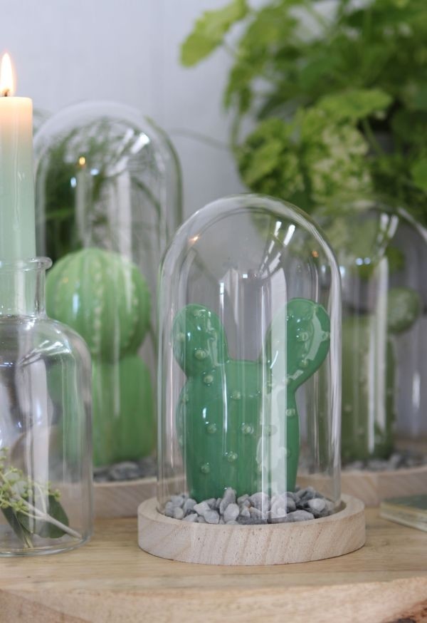 Glass Dome with Wooden Base Ø10cm and 15 cm tall (1 pc) [IFS-29428]