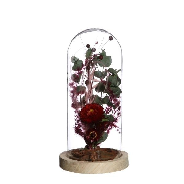 Glass Dome with Wooden Base Ø10cm and 20 cm tall (1 pc) [IFS-29429]