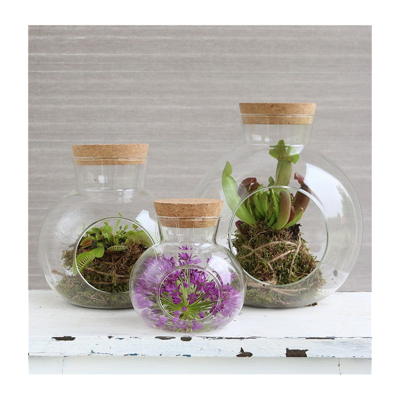 Glass Sphere with Cork Ø10 h.10 cm (1 pc) [IFS-29437]
