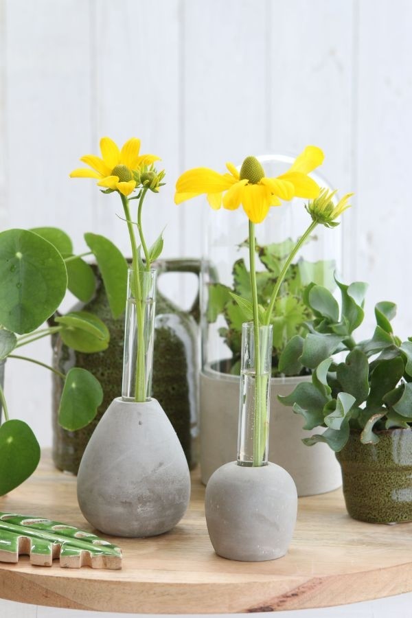 Cement Base with Glass Test Tube Ø6cm and 15 cm tall (1 pc) [IFS-29475]