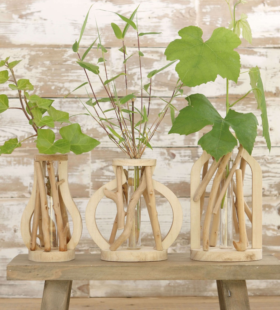 Test tube with stand made of driftwood large (1 pcs.) [IFS-29645]