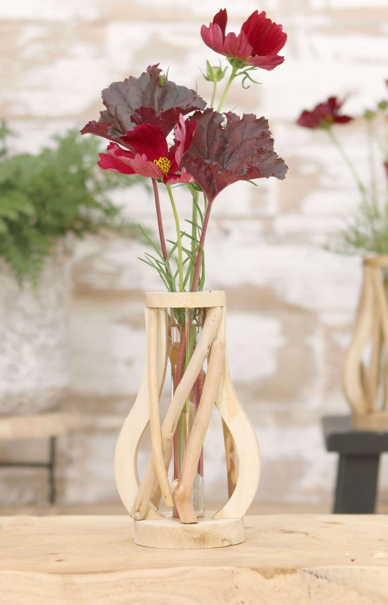 Test tube with stand of driftwood small (1 pcs.) [IFS-29646]