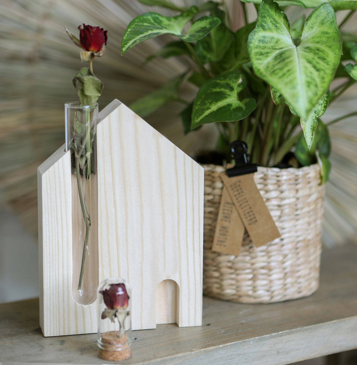 House standard with test tube 14cm high (6 pcs.) [IFS-29649]