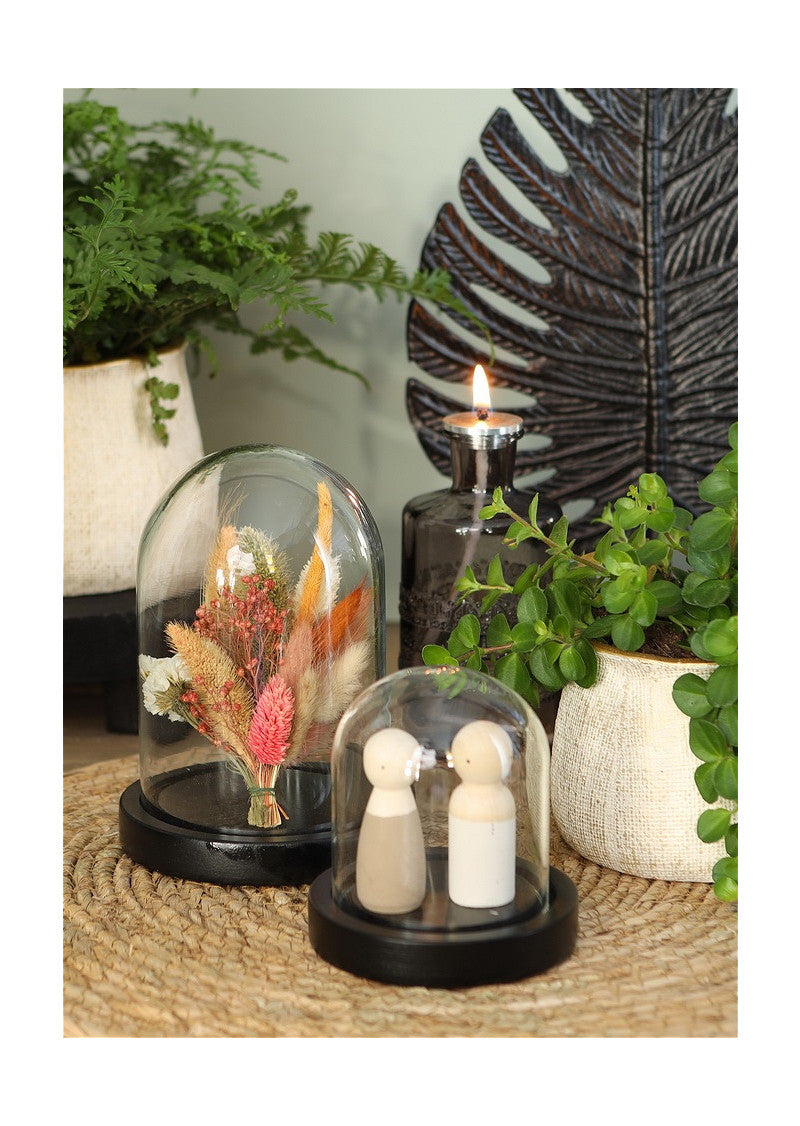 Glass bell jar with black wooden base Ø10cm H.10 cm (1 pcs.) [IFS-29821]