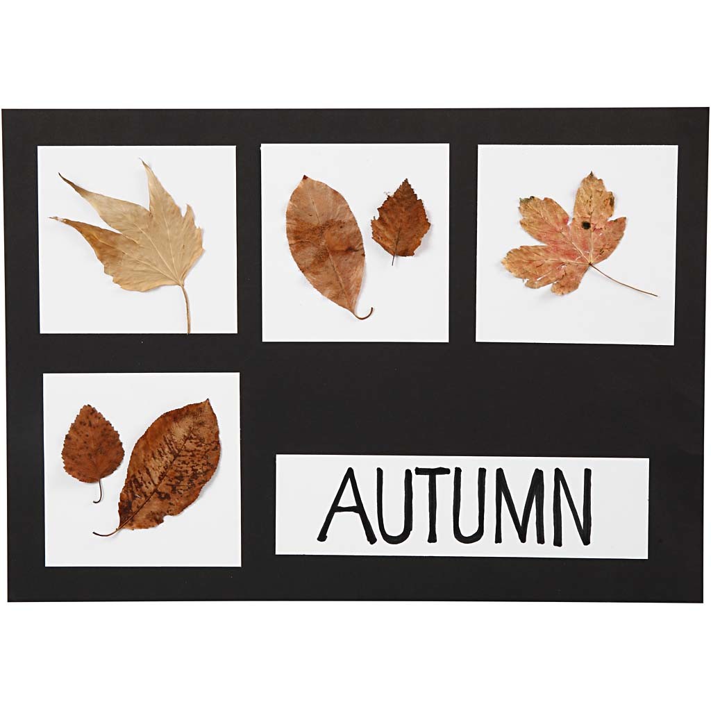 Card, A2,A3,A4, 200+250 g, black, white, 600 ass sheets/ 1 pack [HOB-21656]