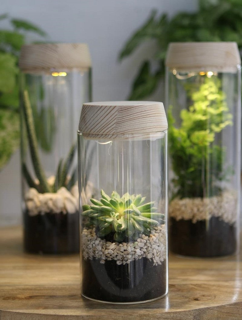 Test tube Ø8 h: 18 cm w. solar cork lid (1 pc) [IFS-30173]