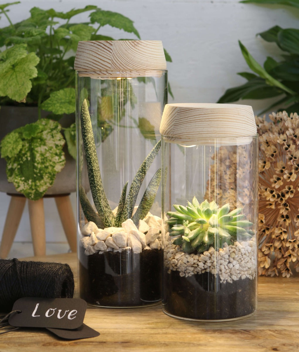 Glass cylinder with LED in wooden lid 18cm high (1 pcs.) [IFS-30180]