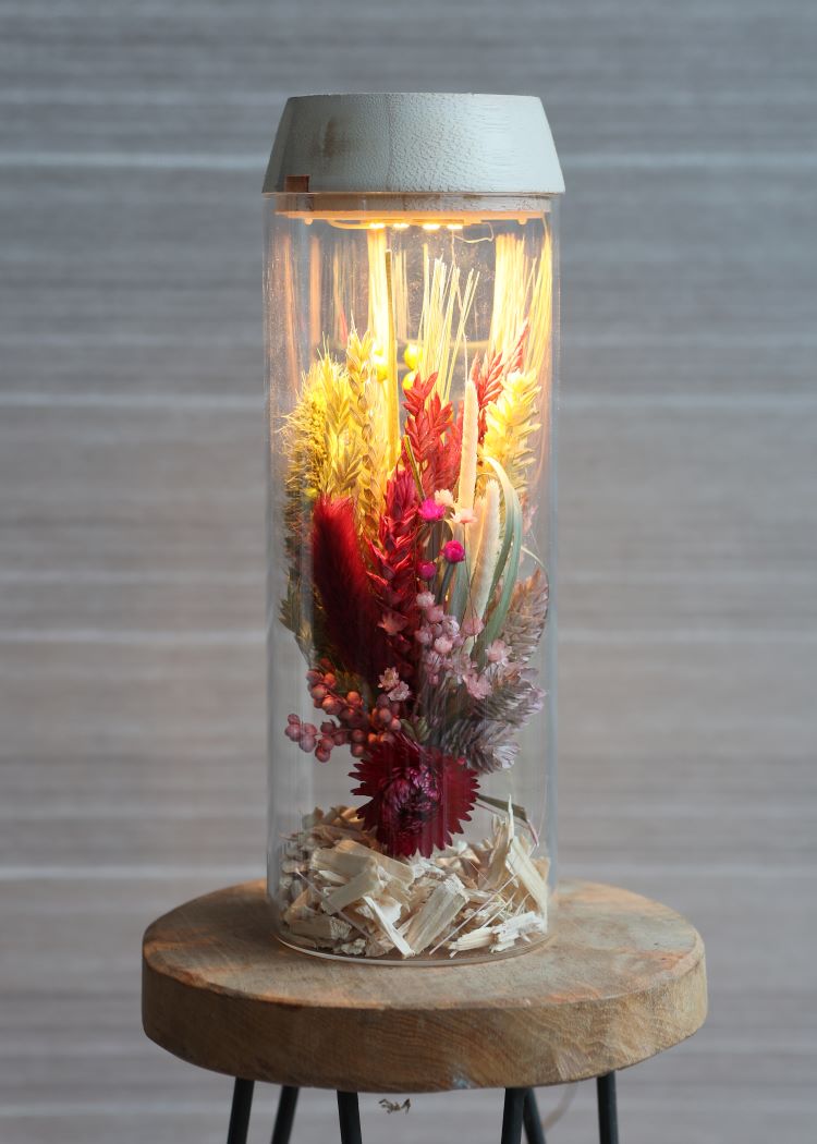 Glass cylinder with LED in wooden lid 23cm high (1 pcs.) [IFS-30181]