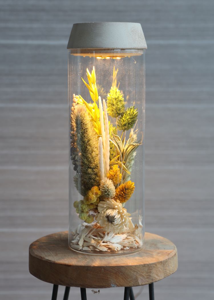 Glass cylinder with LED in wooden lid 23cm high (1 pcs.) [IFS-30181]
