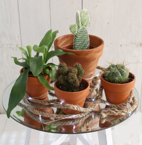 Mirror Plate Round Ø40cm bevelled Edge (1 pc) [IFS-30202]