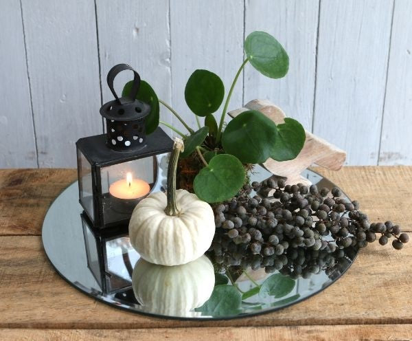 Mirror Plate Round Ø30cm bevelled Edge (1 pc) [IFS-30201]