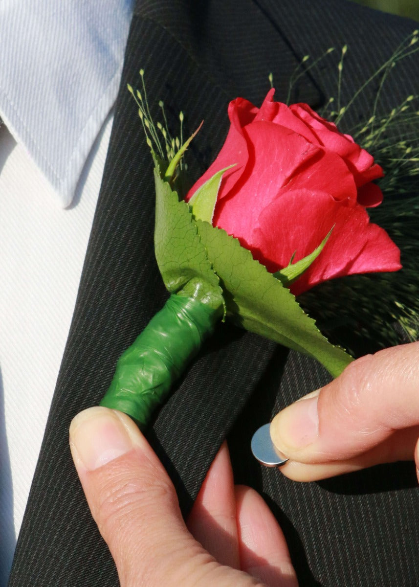 Magnet Set of 50 pieces [IFS-30311]