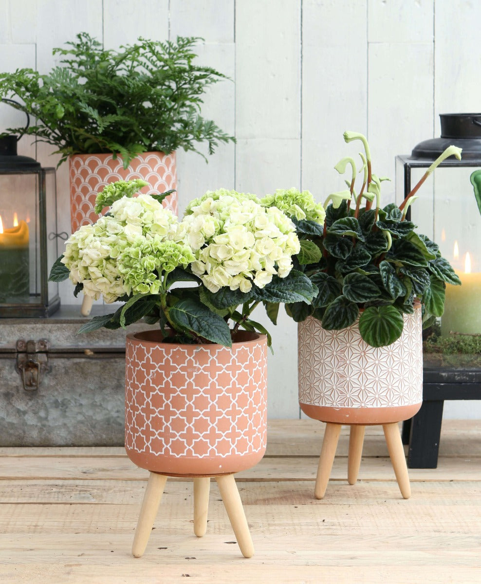 Plant pot Terra cement with wooden legs 21.5cm high (6 pcs.) [IFS-33005]