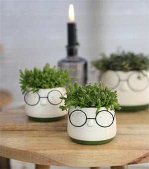 Pot with glasses Ø8,5 h:6,5 cm (6 Pcs) [IFS-33092]