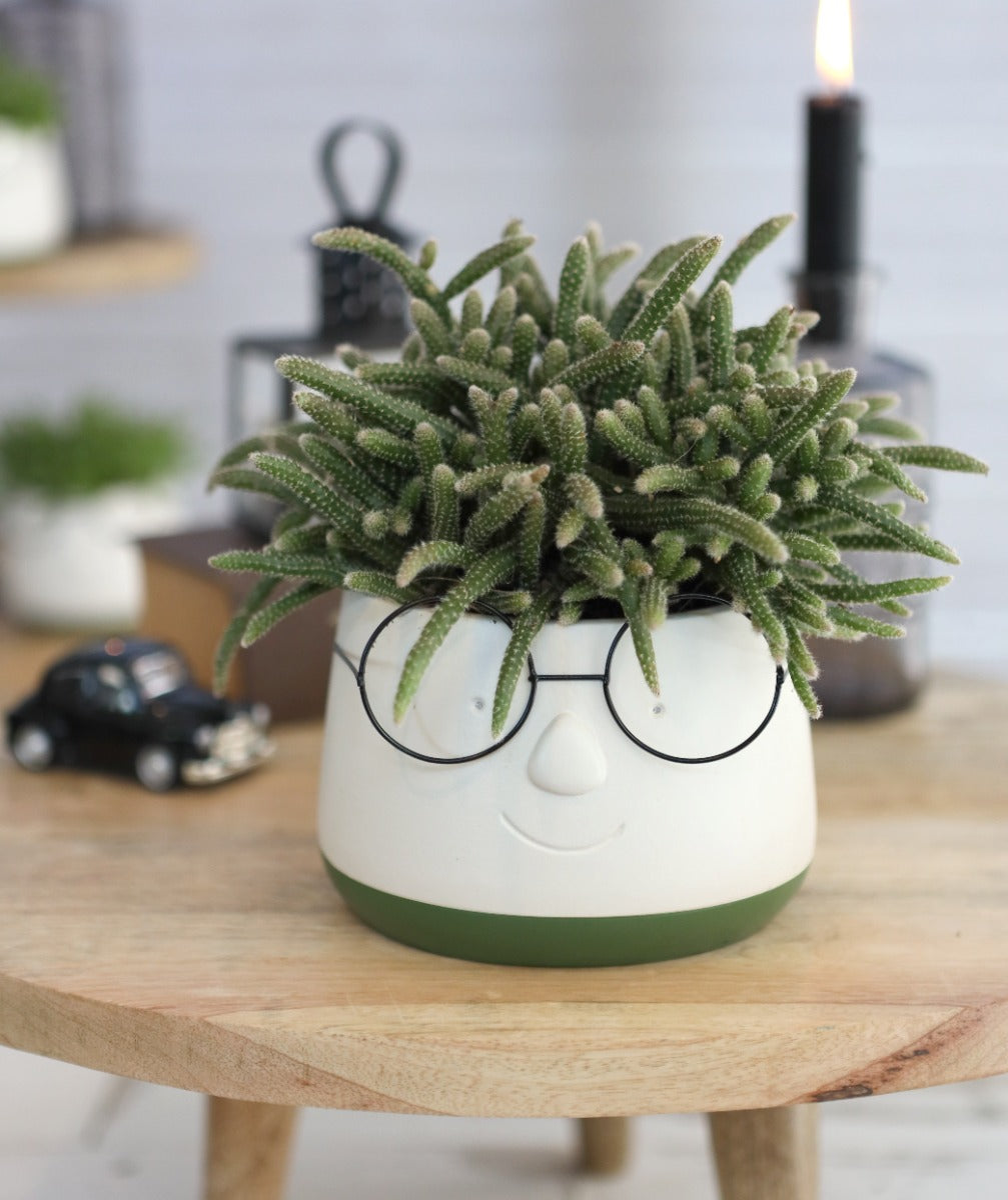 Pot with glasses Ø13,5 h: 10,5 cm (6 Pcs) [IFS-33094]