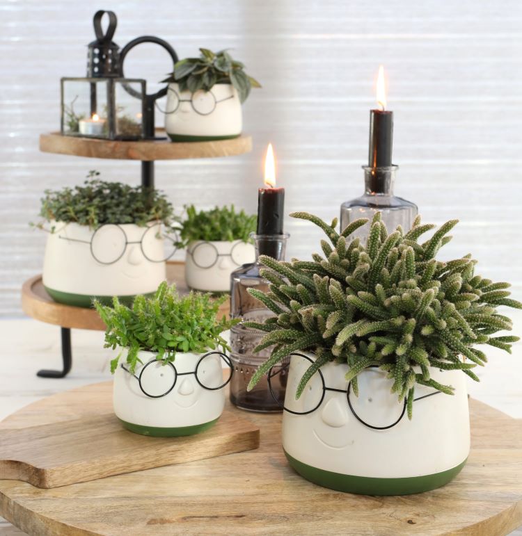 Pot with glasses Ø16 h: 11,5 cm (3 Pcs) [IFS-33095]